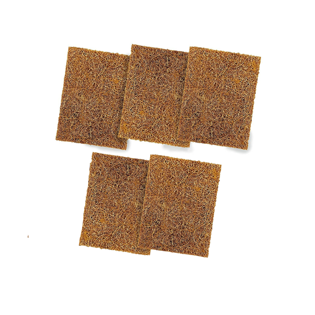 Palmera Natural Coir Utensil Rectangle Scrub (Pack of 5)