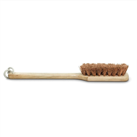 Palmera Coir Body Brush for Dry Brushing- Removes Dead Skin, Treats Cellulite & Stimulates Blood Flow (Pack of 1)