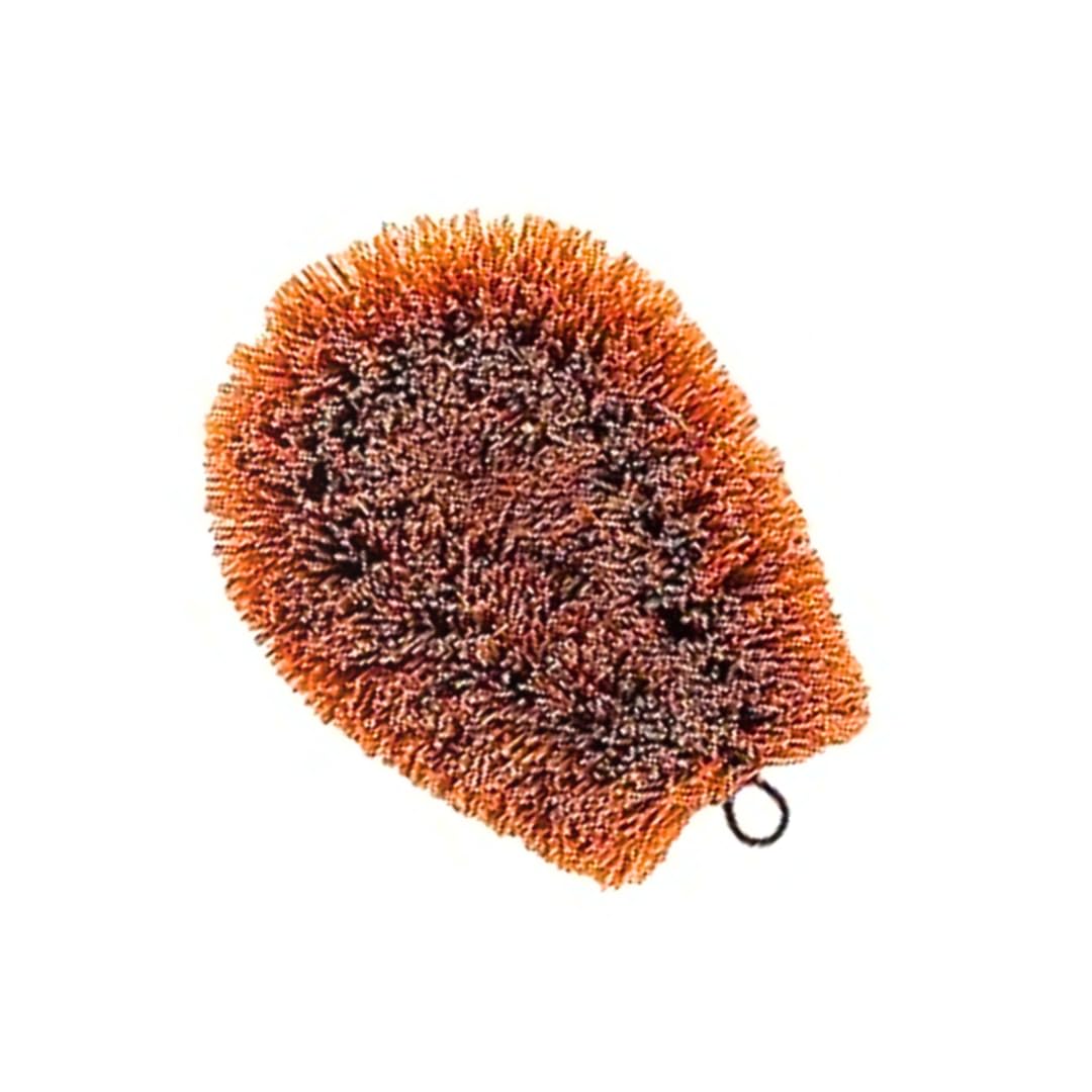 Palmera Rust-Free Stainless Steel Wire Vegetable Scrub Natural Coir Bristles Tawashi Brush (Brown, 12 x 9 cm)