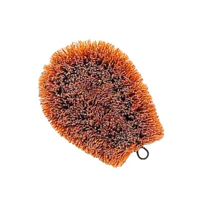 Palmera Rust-Free Stainless Steel Wire Vegetable Scrub Natural Coir Bristles Tawashi Brush (Brown, 12 x 9 cm)