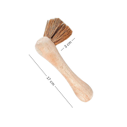 Palmera Bone Brush for Blender Jars