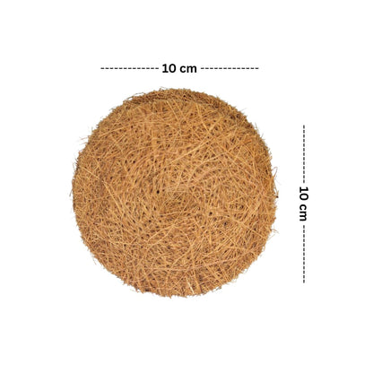 Palmera Natural Coir Utensil Washing Scrub (Pack of 6)