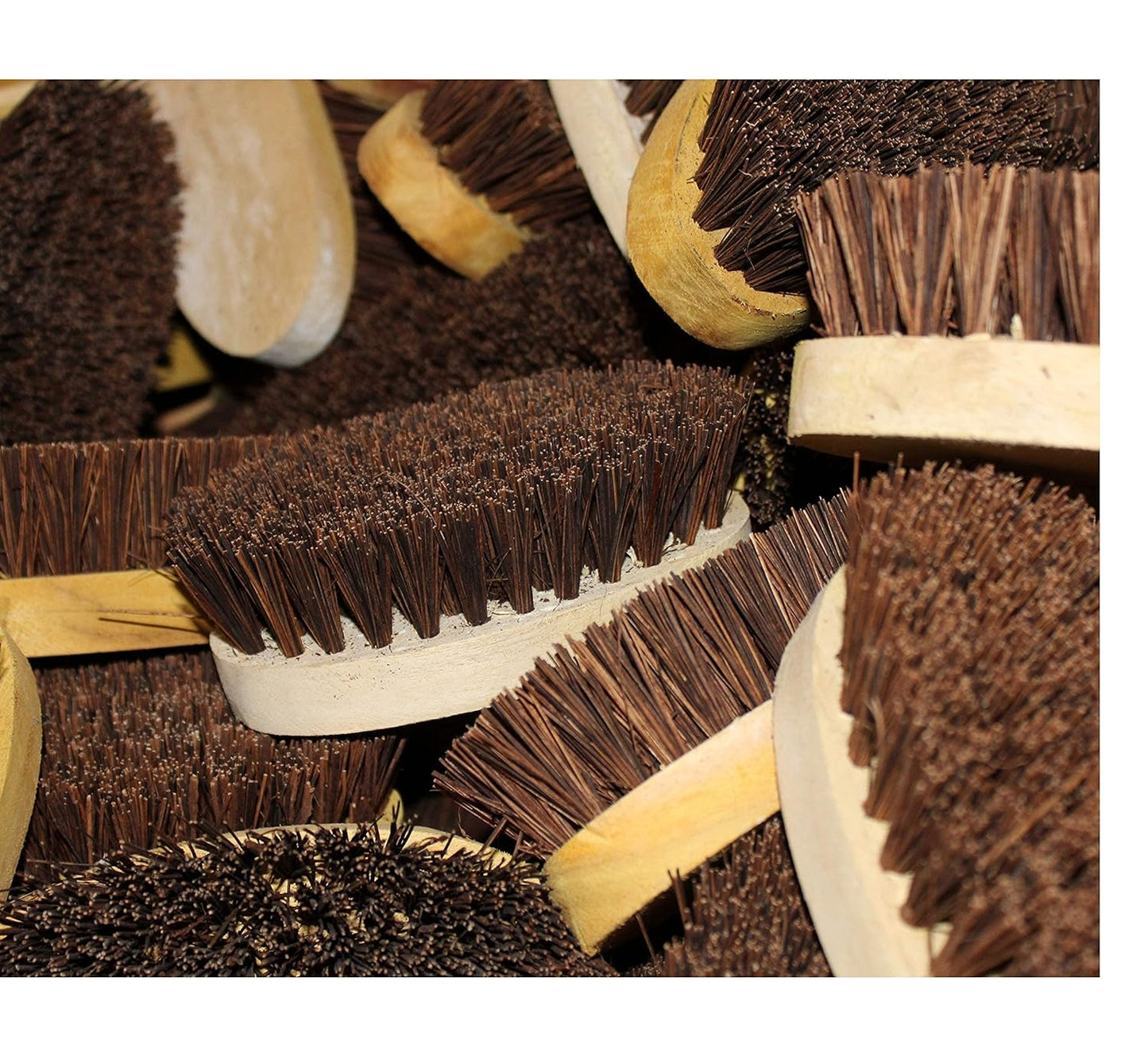 Palmera Small Oval Brush - Wooden Handle with Palmyrah Bristles (Pack of 3)