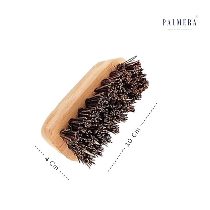 Palmera Goldsmith Burnt Marks Bassine Fibre Brush for Utensils Burnt Removal (10 cm, Brown) (Pack of 1)