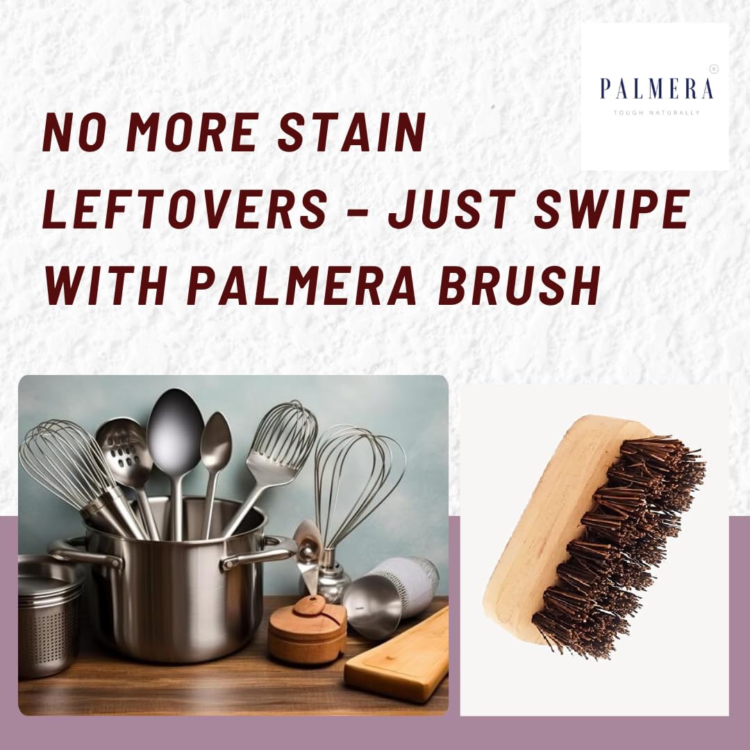 Palmera Goldsmith Burnt Marks Bassine Fibre Brush for Utensils Burnt Removal (10 cm, Brown) (Pack of 1)