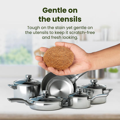 Palmera Natural Coir Utensil Washing Scrub (Pack of 5)