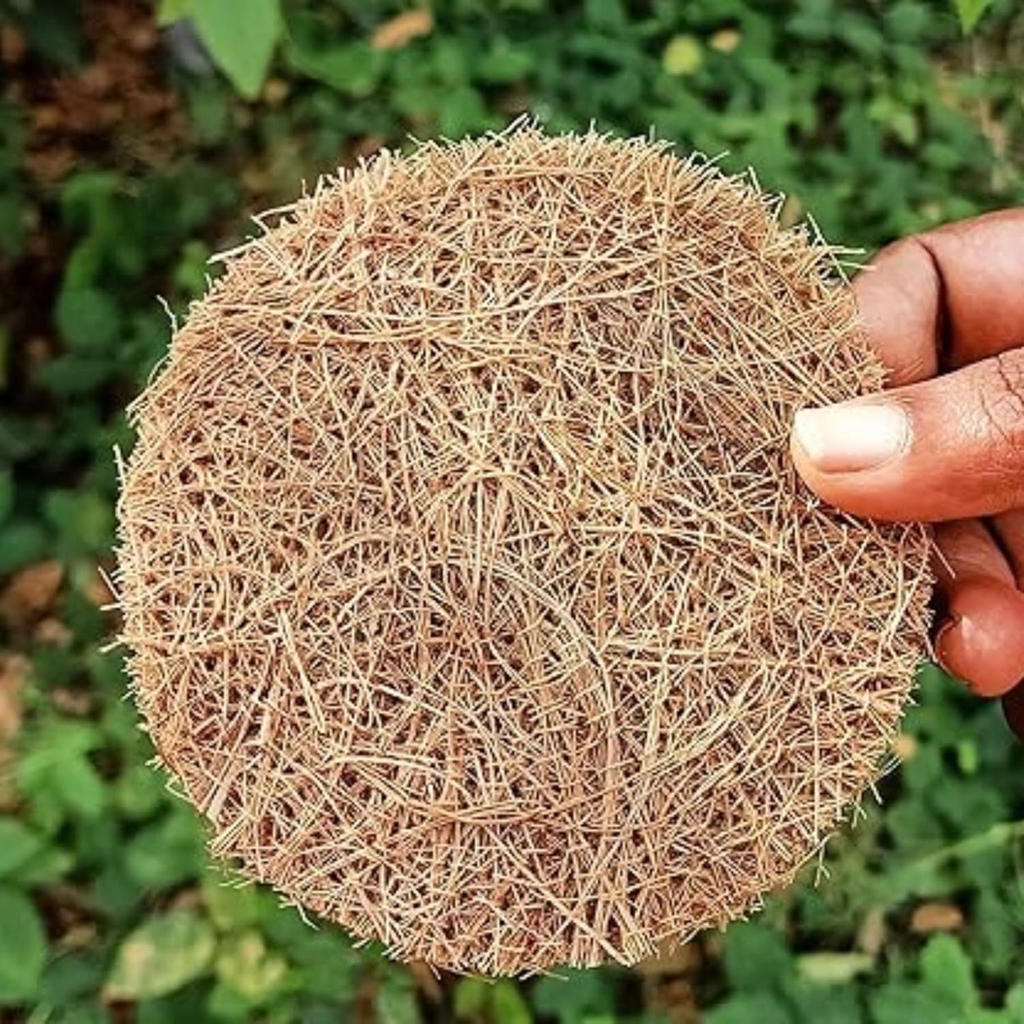 Palmera Natural Coir Utensil Washing Scrub (Pack of 12)