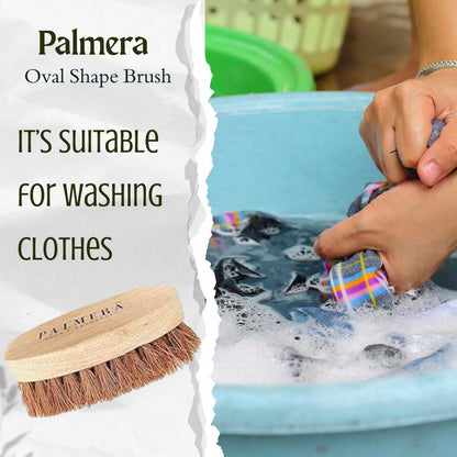 Palmera Oval Coir Brush (Pack of 3) - Wooden Handle and Palmera Bristles - Suitable for Heavy scrubbing