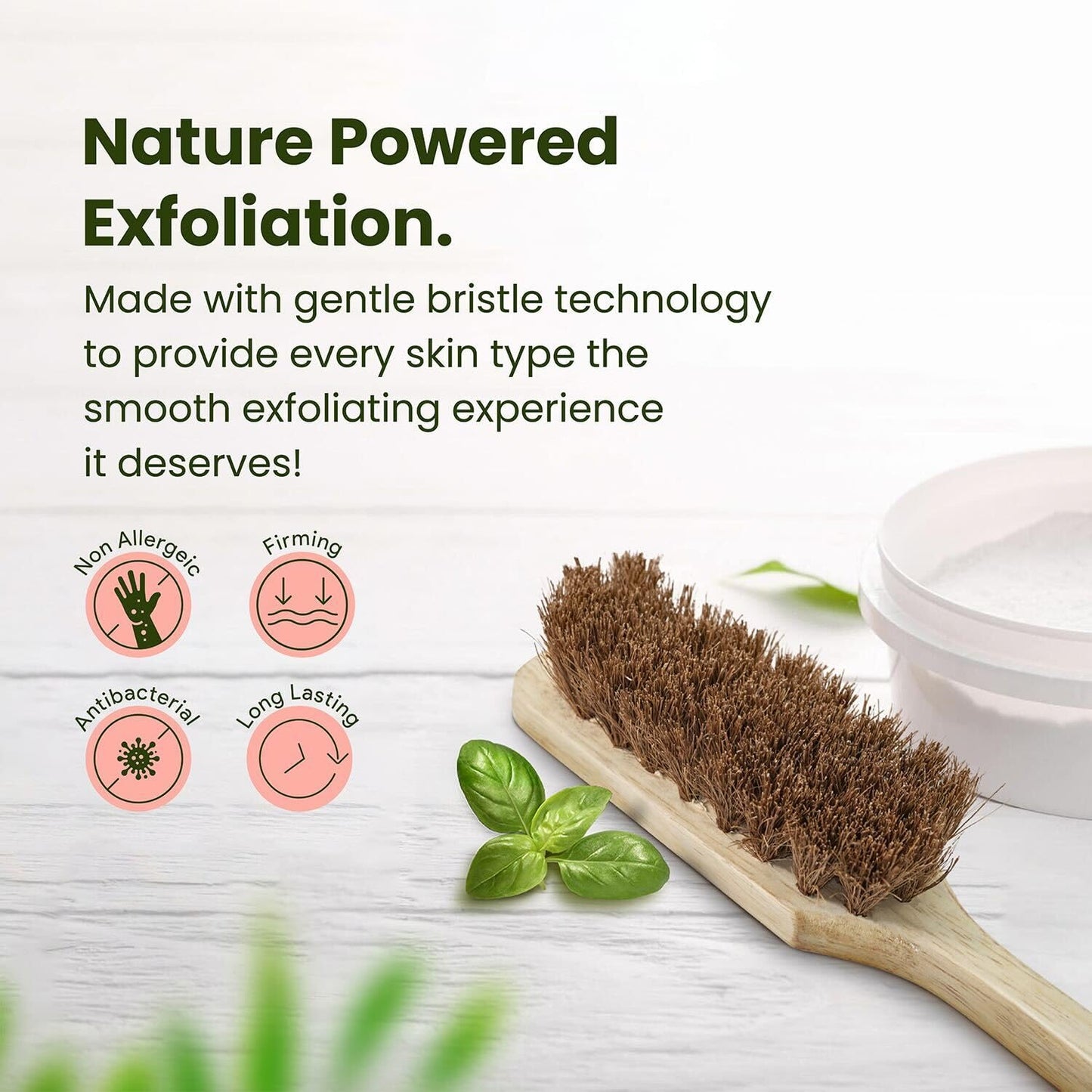 Palmera Coir Body Brush for Dry Brushing- Removes Dead Skin, Treats Cellulite & Stimulates Blood Flow (Pack of 1)