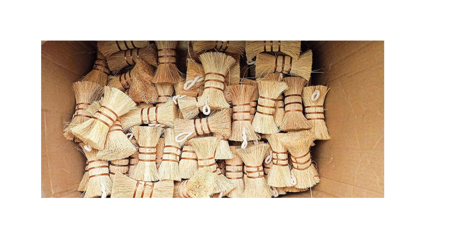 Palmera Kitchen Whiskers Coir Fiber Washing Brush - Pack of 2