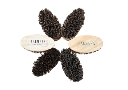 Palmera Small Oval Brush - Wooden Handle with Palmyrah Bristles (Pack of 12)