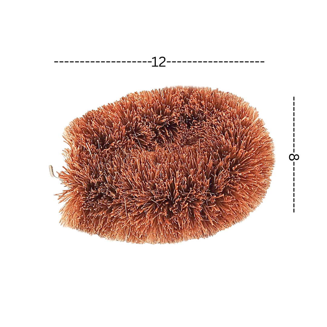 Palmera Rust-Free Stainless Steel Wire Vegetable Scrub Natural Coir Bristles Tawashi Brush (Brown, 12 x 9 cm)