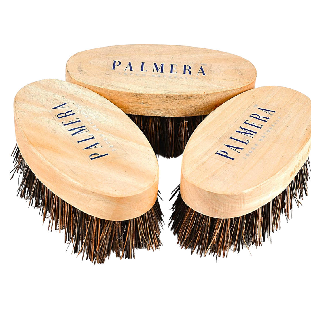 Palmera Small Oval Brush - Wooden Handle with Palmyrah Bristles (Pack of 3)