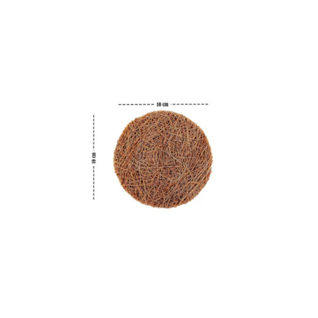 Palmera Coir Bristles Scrub Kit, Set of 3