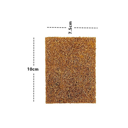 Palmera Natural Coir Utensil Rectangle Scrub  (Pack of 5)