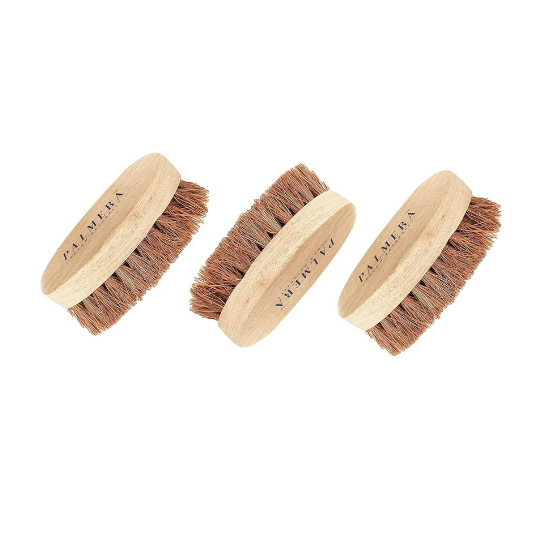 Palmera Oval Coir Brush (Pack of 3) - Wooden Handle and Palmera Bristles - Suitable for Heavy scrubbing