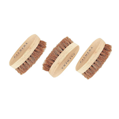 Palmera Oval Coir Brush (Pack of 3) - Wooden Handle and Palmera Bristles - Suitable for Heavy scrubbing