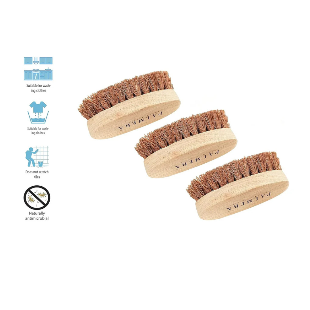 Palmera Oval Coir Brush (Pack of 3) - Wooden Handle and Palmera Bristles - Suitable for Heavy scrubbing