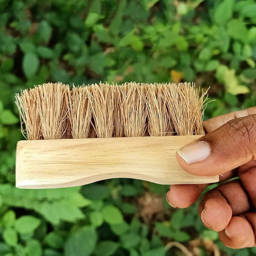 Palmera Soft Coir Bristles Pedicure and Manicure Wood Brush (9cm, Brown) (Pack of 1)