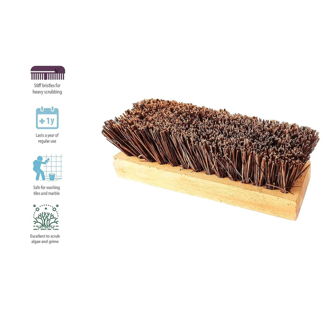 Palmera Value Bassine Brush Natural Material for Cleaning Bathroom,Home, Kitchen,Car Wheels,Outdoor Space Have Strong Coir Fiber Flexible Bristle Multipurpose & Durable - Small (1)