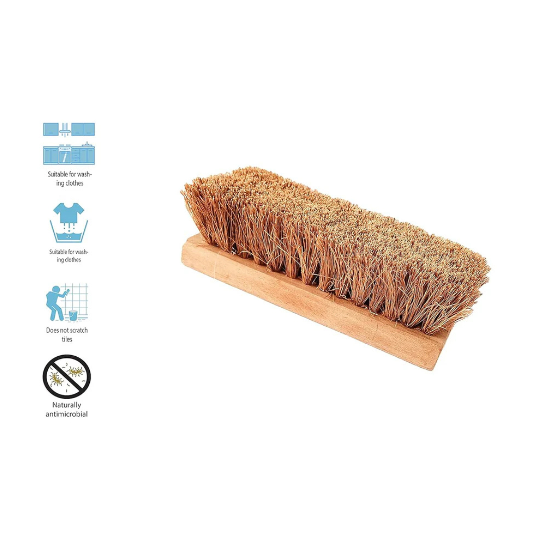 Palmera Value Coir Washing Brush  (Pack of 1, Large) (8 inch)