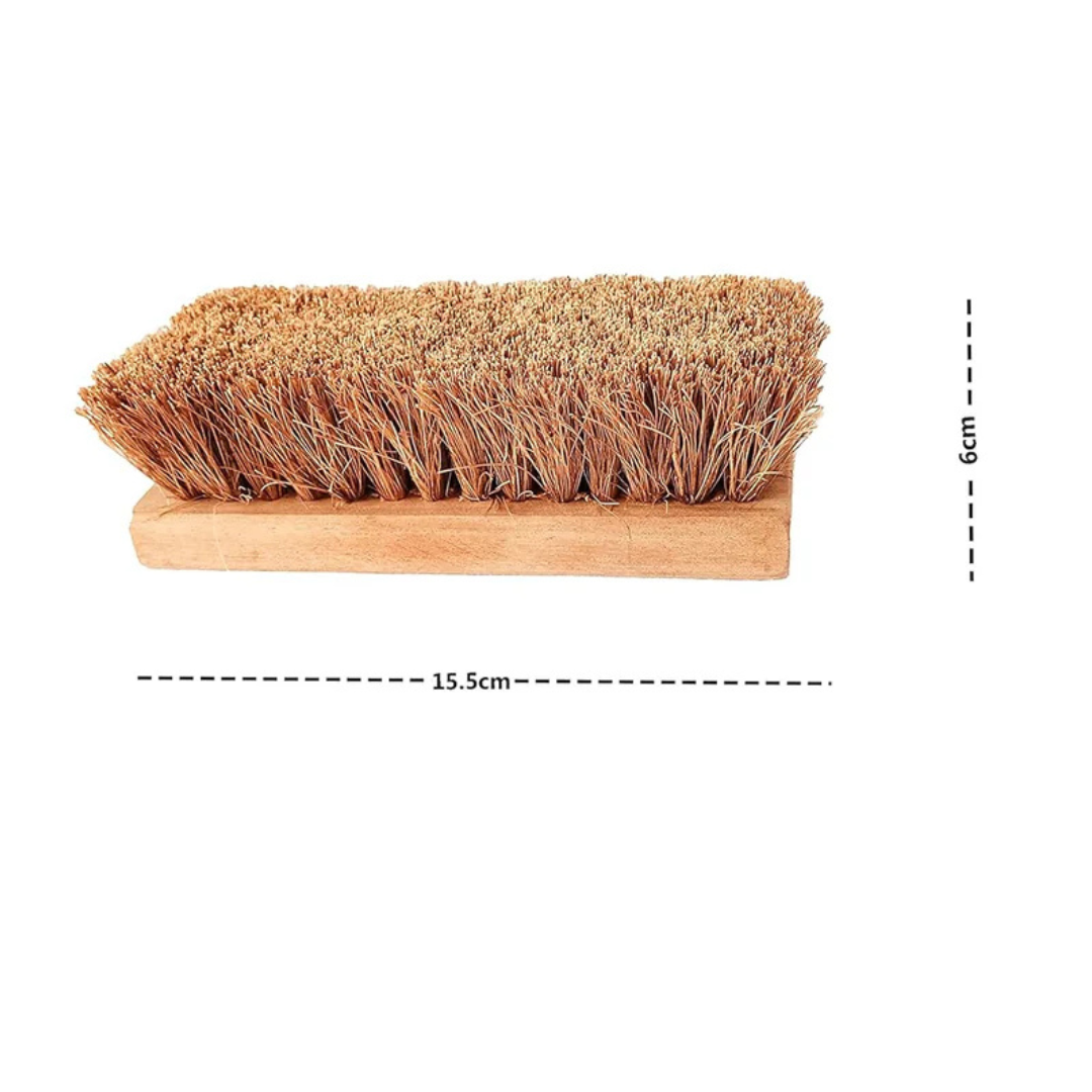 Palmera Value Coir Washing Brush  (Pack of 1, Large) (8 inch)