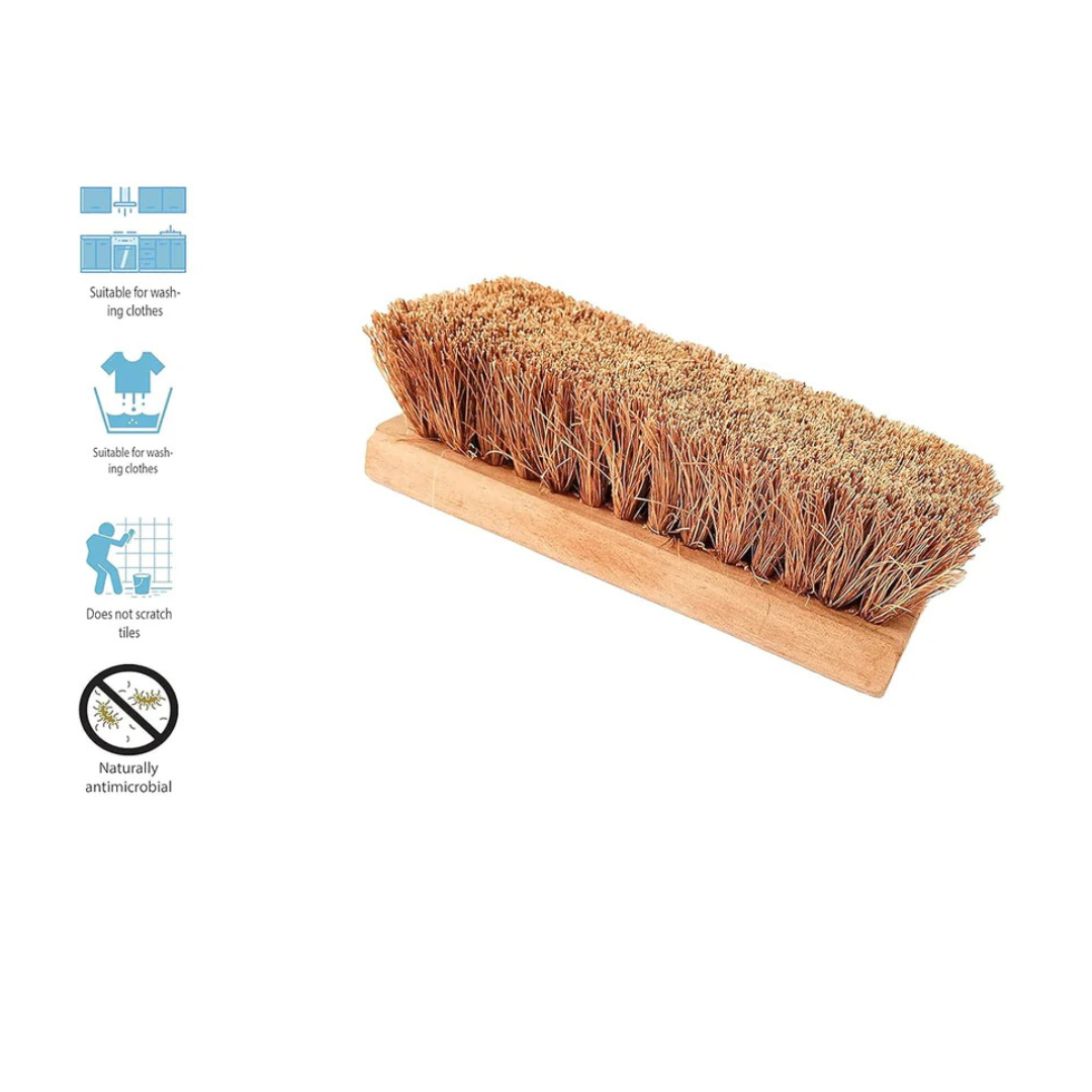 Palmera Value Coir Washing Brush (Neem Wood, Brown) (1, Small) (6 inch)