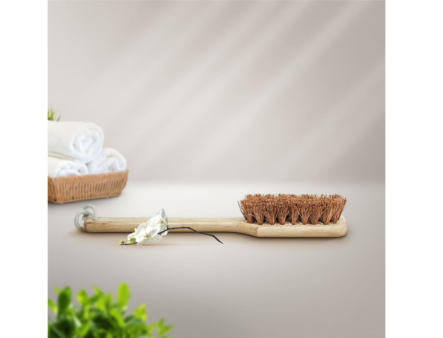 Palmera Coir Long Handle Body Brush (Pack of 3)